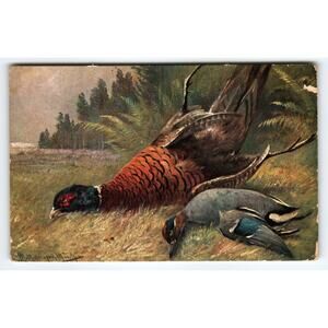 Original Muller Signed Artist Card Pheasants Vintage Postcard